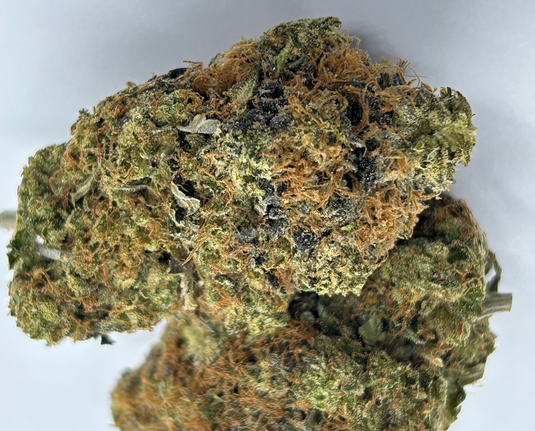 Lemon Haze  Sativa Dominant Hybrid 70/30