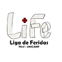 Liga Acadêmica de Feridas