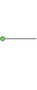 Line and Dot Green
