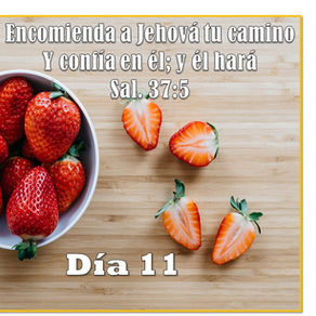 Día: 11 La verdadera felicidad