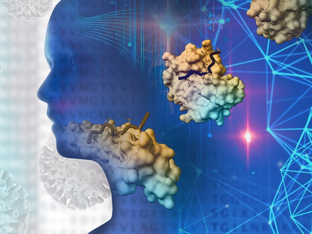 Nipocalimab: An Immunoselective FcRn Blocker for IgG-Driven Autoimmunity