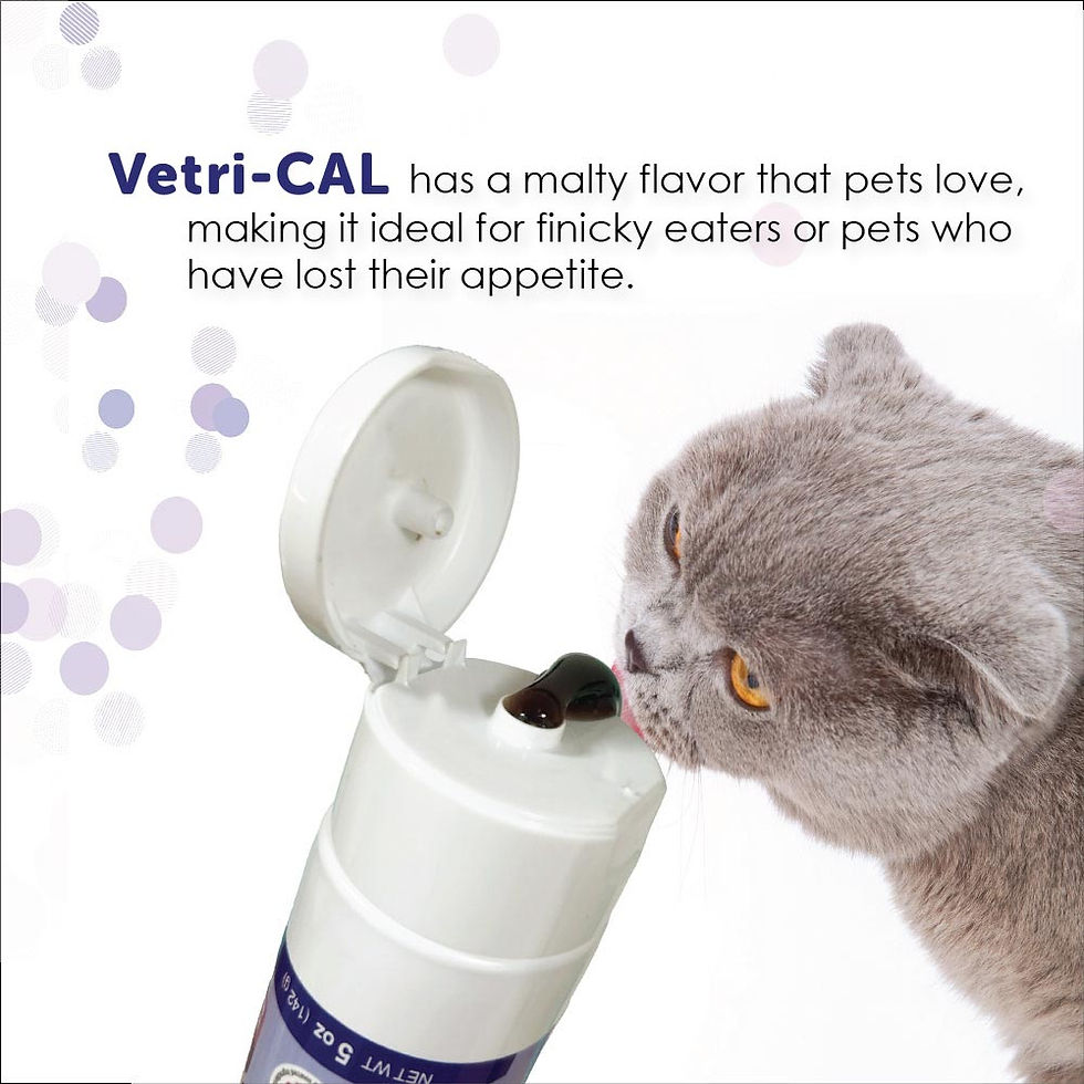Thumbnail: Vetri-CAL - High Calorie Nutritional Gel for Dogs & Cats (5 oz)