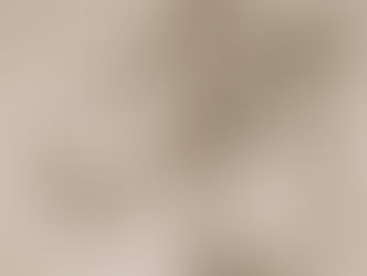 Micro-Mysteries
