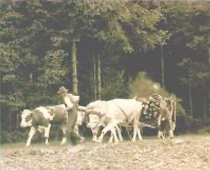 Bildschirm­foto 2025-12-21 um 22.43.28.png