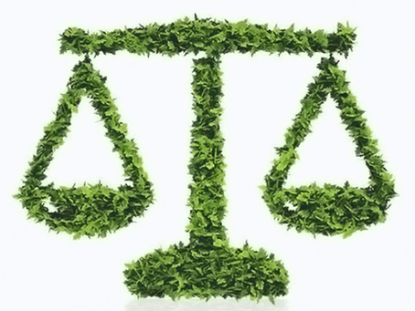 Novo marco para o licenciamento ambiental: o que muda com a Lei 15.190/2025?