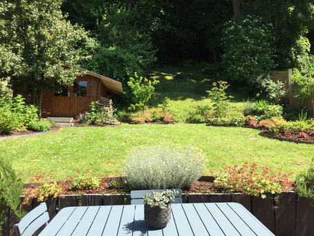entretenir jardin canicule