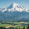 a scenic picture of abbotsford with a large mountain with white snow cap and a green meadow below