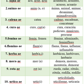 SUSTANTVOS LATINOS