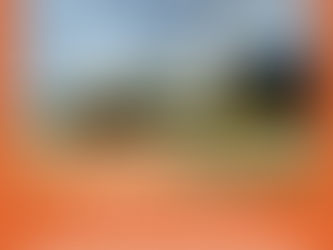 Sports Field: Update