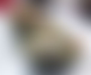 Grilled Avocado with Veggie Ceviche (GF, V)