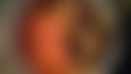 Bang Bang Brussels Sprouts over Carrot Rice