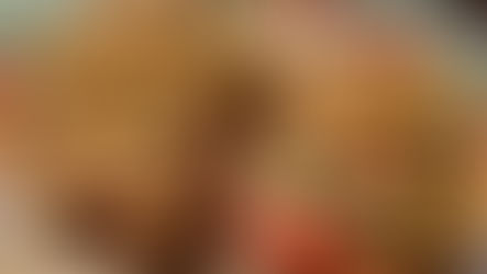 Jackfruit Tuna Melts with Brazil Nut Swiss Cheese