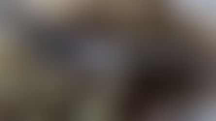 Trekking and Tracking: Lentils and Rice