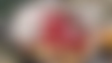 Cauliflower Musakhan