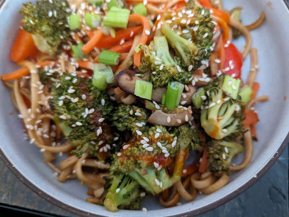 Yaki Udon (V)