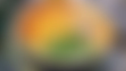 Thai Butternut Squash & Beer Soup