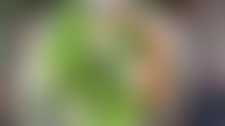 Banana Blossom Curry with Palmini Angel Hair