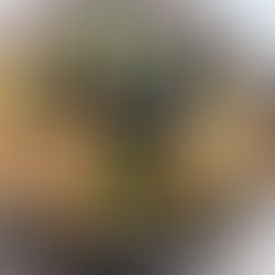 Spicy Thai-Style Peanut Paella (GF, V)