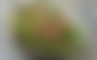 Kale & Lentil Waldorf Salad with Cashew Dressing