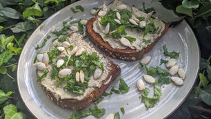 Plantain & Summer Squash Hummus Toast