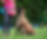 ree