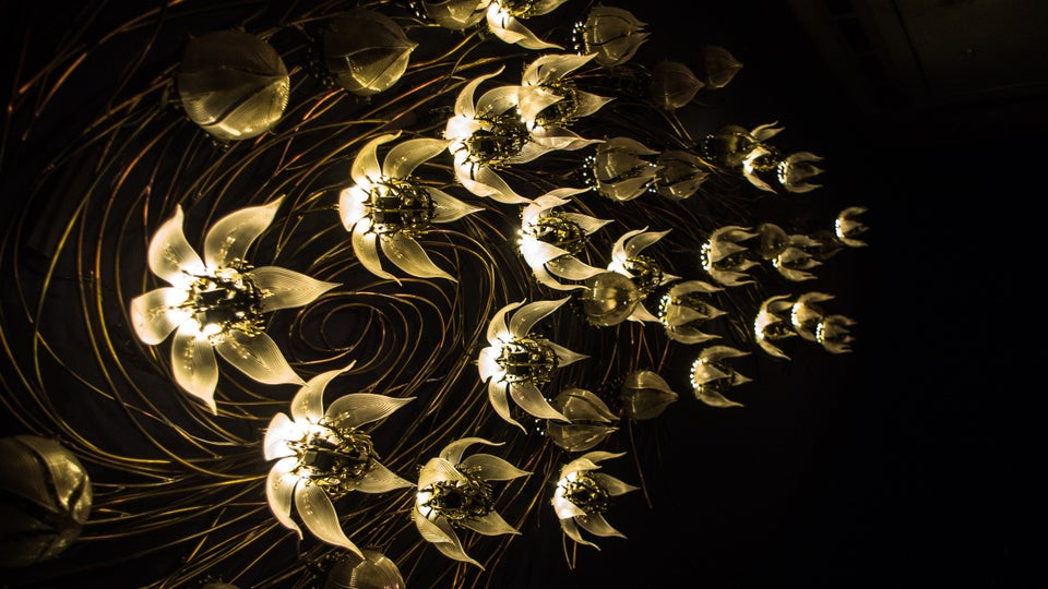 Una Lumino Callidus Spiritus