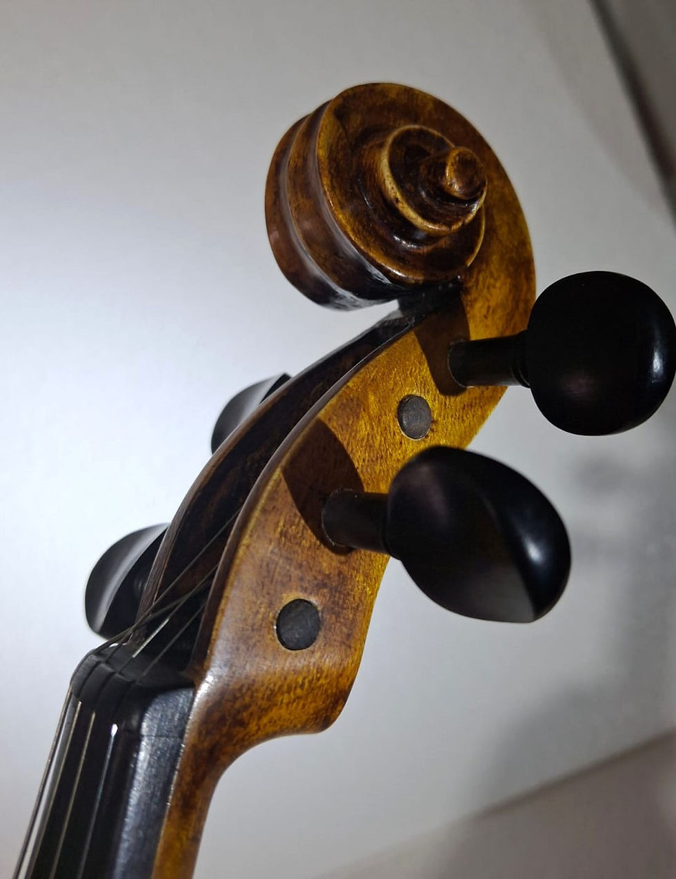 Miniatura: Violino hamonizado