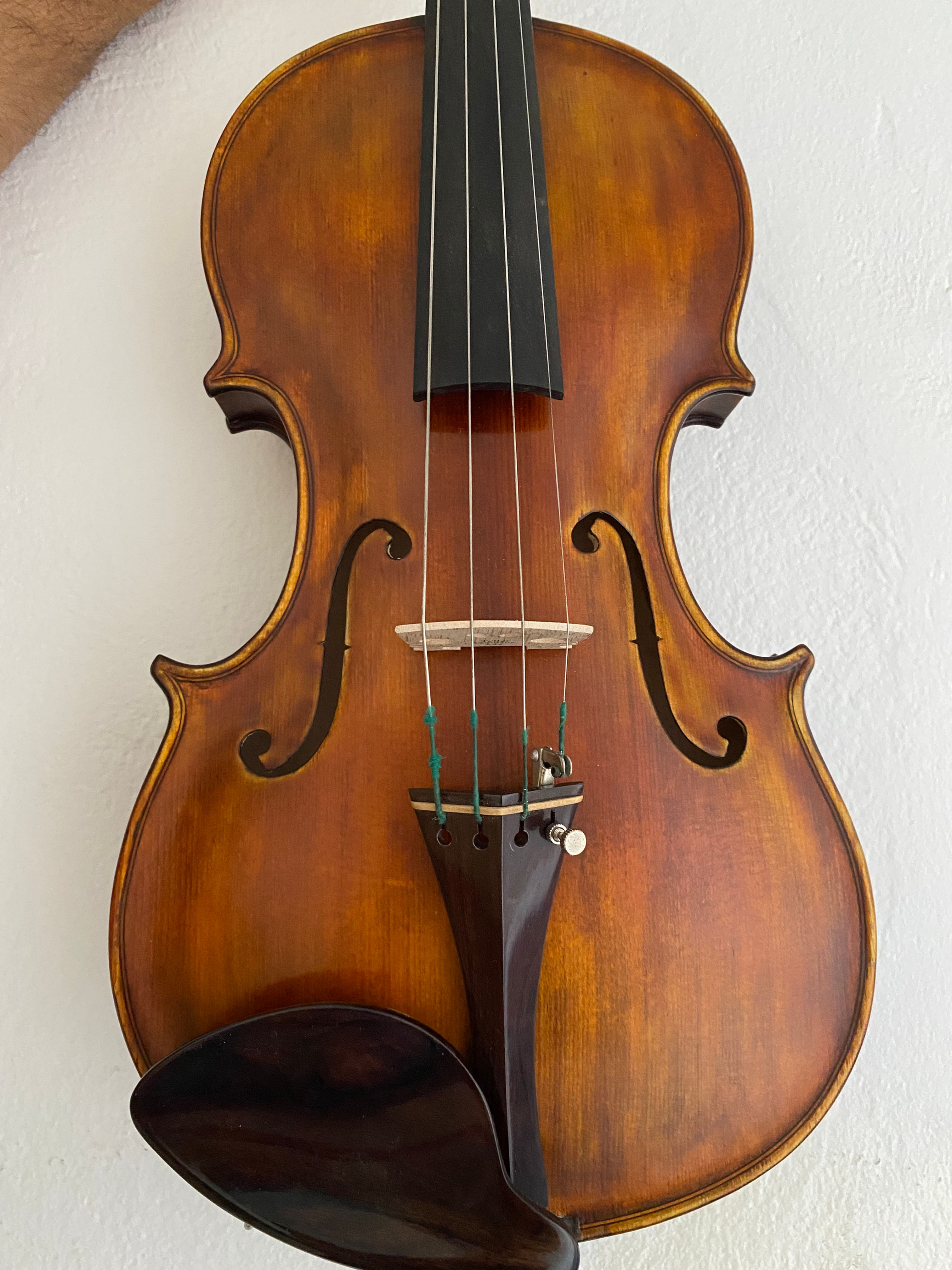 Viola 40.5