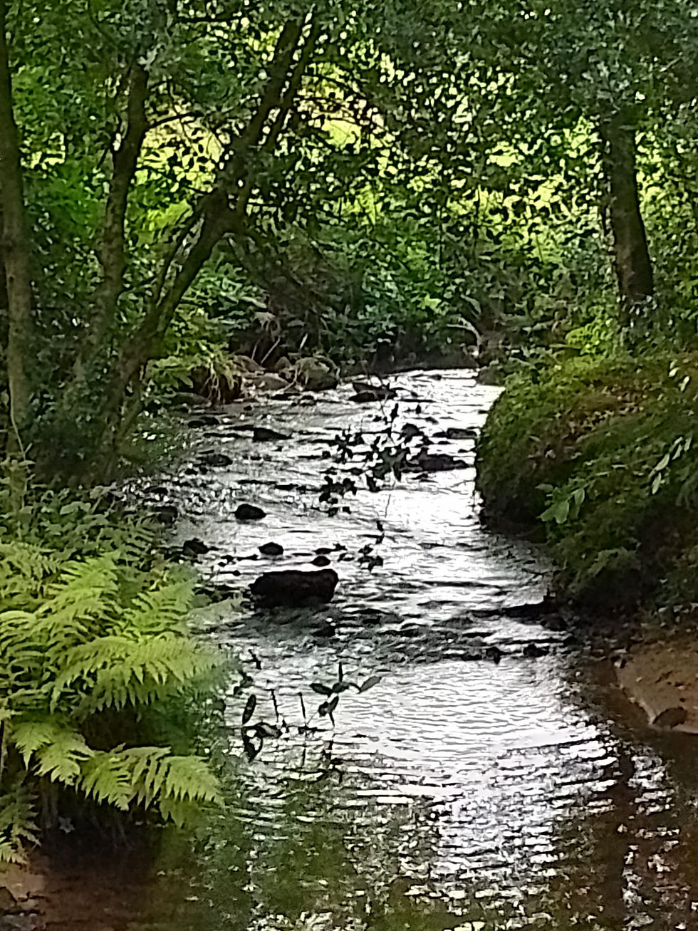 Core Concepts of Family Constellations - Wicklow