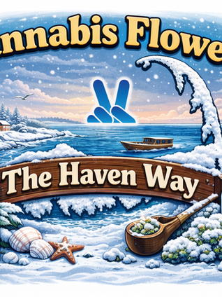 The Ultimate Guide to Cannabis Flower Cape Cod — With a Spotlight on The Haven Center (Brewster & Provincetown)
