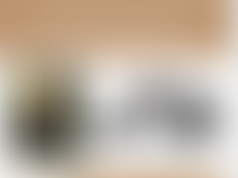 Elevate Your Strolling Experience with the Venice Child Maverick Tandem Stroller