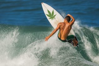 Welcome to the Haven Center