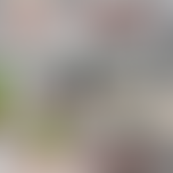 Offering Kitchen Cabinets & Countertops!