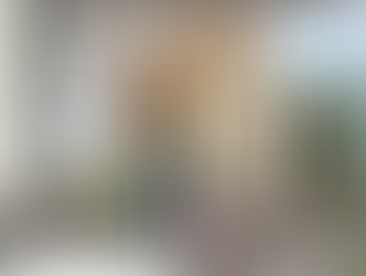 BREATHE EASILY, LIVE COMFORTABLY: Transform Your Home with More Than Blinds Window Screens