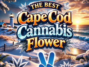 Cape Cod Cannabis Flower 