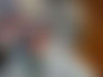 Former FL Rep., Alan Grayson