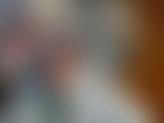 Former FL Rep., Alan Grayson