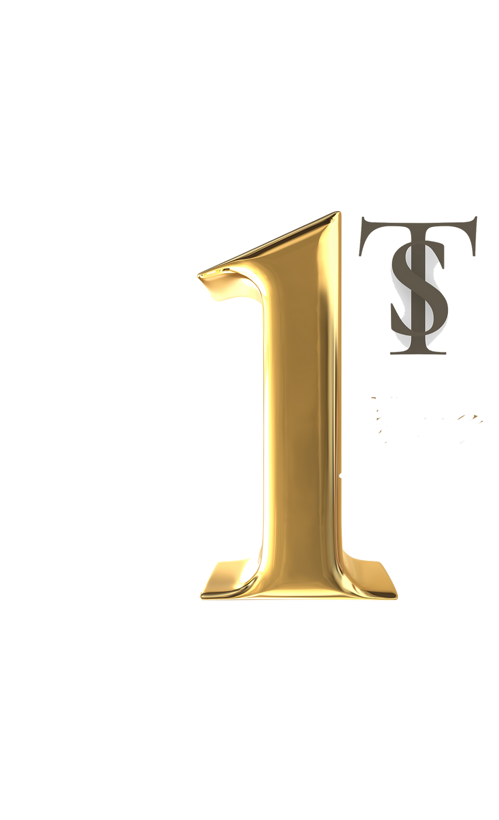 1st Strate Book Keeping_edited_edited.png