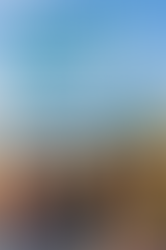 Recreational Cannabis Cape Cod