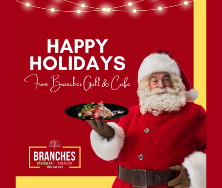 -> HAPPY HOLIDAYS!