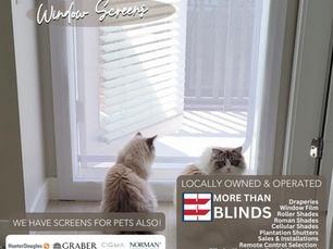 The Ultimate Window Screens For Pet Lovers