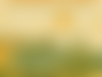 Wellness And Haven Center