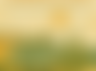 Wellness And Haven Center