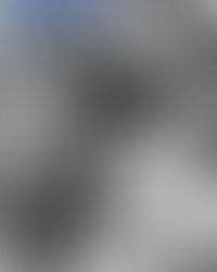 The Best Dispensary On Cape Cod