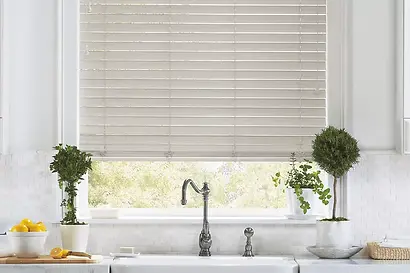 everwood-alternative-wood-platinum-wash-47707495.webp