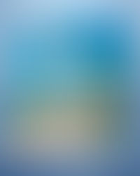 Cape Cod Cannabis Dispensary