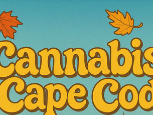 Cape Cod’s Best Recreational Dispensary