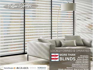 🏠 ELEVATE YOUR SPACE WITH ROLLER SHADES 🏠