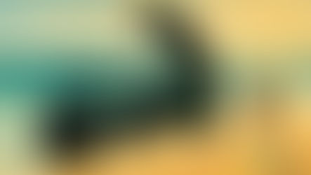 Recreational Marihuana Dispensary Cape Cod