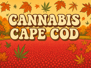 Cannabis Cape Cod